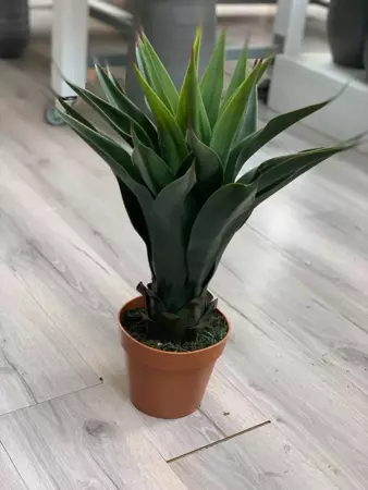 Kunstplant Agave i/pot h60cm groen - afbeelding 2