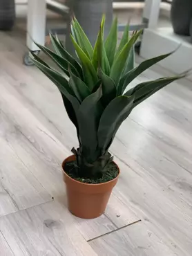 Kunstplant Agave i/pot h60cm groen - afbeelding 2