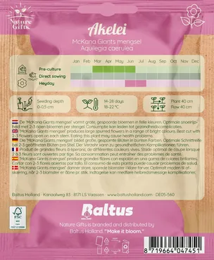 Akelei mckana giants mix 50st - afbeelding 2
