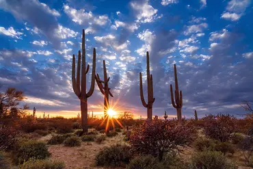 Alexsar Art schilderij Deco panel arizona desert 120x80cm