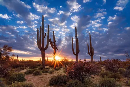 Alexsar Art schilderij Glas art arizona desert 120x80cm