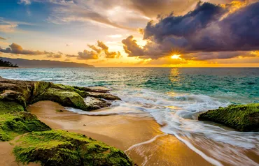 Alexsar Art Tuindoek mossy beach 210x140cm