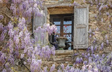 Alexsar Art Tuindoek paarse bloemen raam 210x140cm