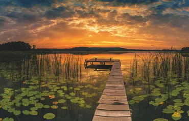Alexsar Art Tuindoek panorama 210x140cm