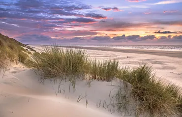 Alexsar Art Tuindoek strand duin 140x90cm - afbeelding 1