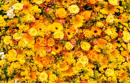 Alexsar Art Tuinschilderij gele rozen 70x50cm - afbeelding 1