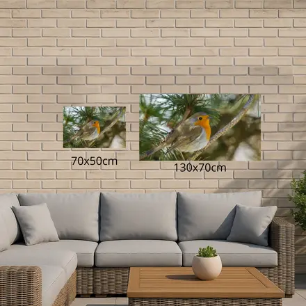 Alexsar Art Tuinschilderij robbi 70x50cm - afbeelding 3