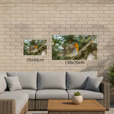 Alexsar Art Tuinschilderij robbi 70x50cm - afbeelding 3