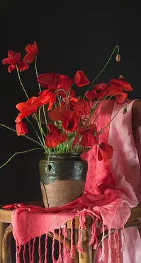 Alexsar Art Tuinschilderij rode bloemen 130x70cm