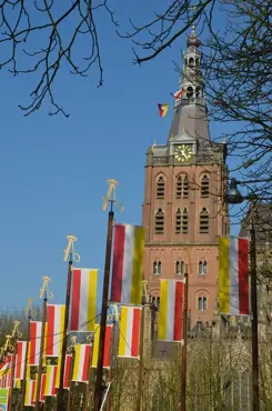 Alexsar Art Tuinschilderij Sint Jan Carnaval 130x70cm - afbeelding 1