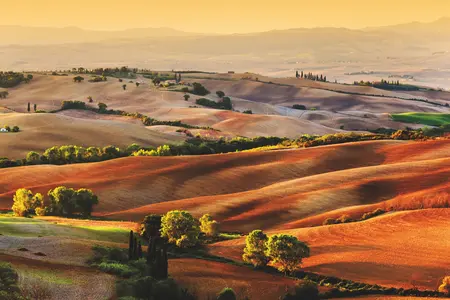 Alexsar Art Tuinschilderij toscane 70x50cm