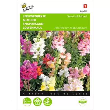 Antirrhinum, Leeuwenbekje half-hoog gemengd - afbeelding 1