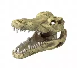 Aqua D'ella Deco krokodil hoofd l 32,5x17x20,5cm
