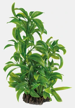 Art plant 25cm dracaena