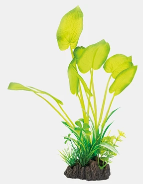 Art plant 25cm echinodorus