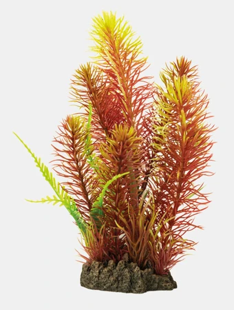 Art plant 25cm myriophyllum red