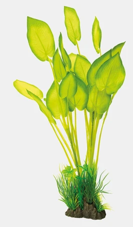Art plant 40cm echinodorus