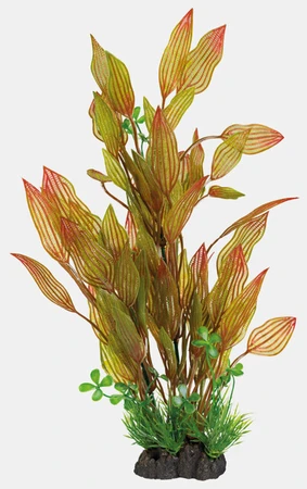 Art plant 40cm henkelianus