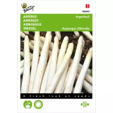 Asperge Argenteuil - afbeelding 1