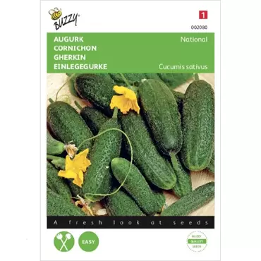 Augurk National, Kleine Groene - afbeelding 2