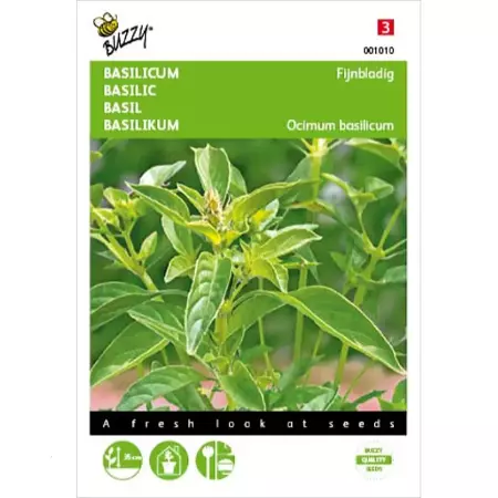 Basilicum Fijne - afbeelding 1