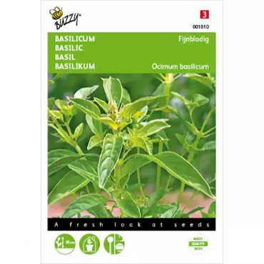 Basilicum Fijne - afbeelding 1