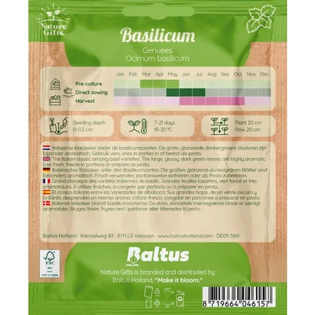 Basilicum genuees 200st - afbeelding 2