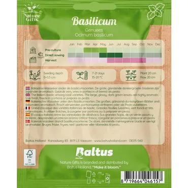 Basilicum genuees 200st - afbeelding 2