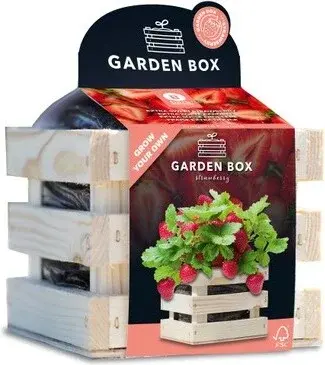 Baza Gardenbox kweekset Aardbei zoet 12x11x10cm