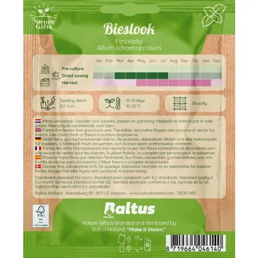 Bieslook fijnbladig per 1m2 - afbeelding 2