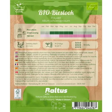 Bieslook staro bio per 1m2 - afbeelding 2