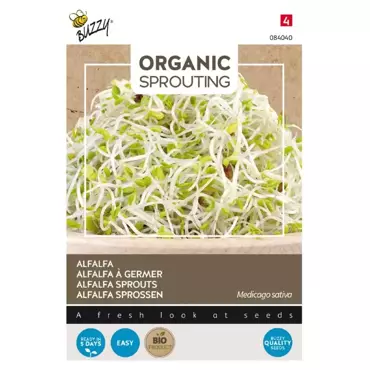 Bio Knip & Eet, Sprouting Alfalfa - afbeelding 1