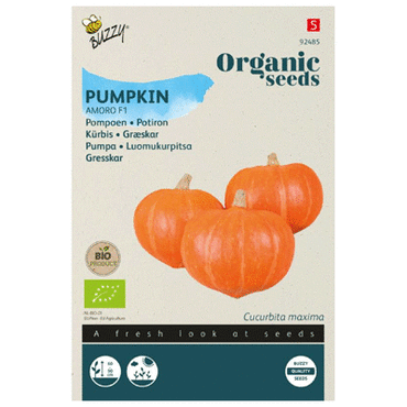 Bio pompoen amoro f1 6 zdn - afbeelding 2