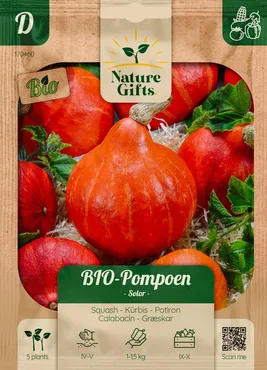 Bio pompoen solor 5st - afbeelding 1