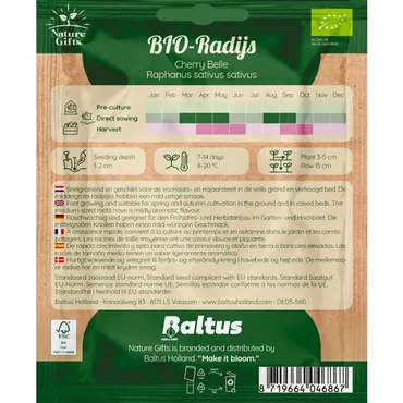 Bio radijs cherry belle per 8m - afbeelding 2
