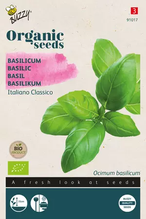 Biologische Basilicum Italiano Classico - afbeelding 1