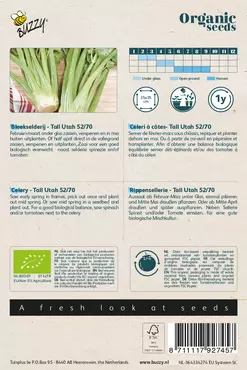 Biologische Bleekselderij Tall Utah 52/70 - afbeelding 2