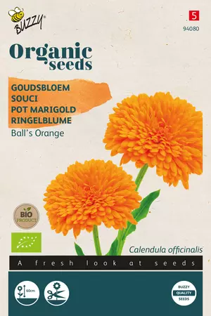 Biologische Calendula, Goudsbloem Ball's Orange - afbeelding 1