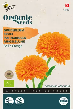 Biologische Calendula, Goudsbloem Ball's Orange - afbeelding 1