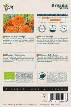 Biologische Calendula, Goudsbloem Ball's Orange - afbeelding 2