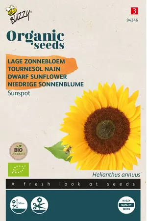 Biologische Helianthus, Lage zonnebloem Sunspot - afbeelding 1