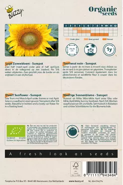 Biologische Helianthus, Lage zonnebloem Sunspot - afbeelding 2