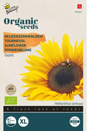 Biologische Helianthus, Reuzenzonnebloem giganteus - afbeelding 1