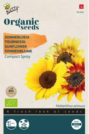 Biologische Helianthus, Zonnebloem Compact Spray - afbeelding 1