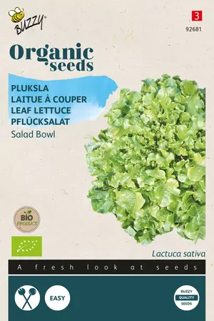Biologische Pluksla Salad Bowl, groen - afbeelding 1
