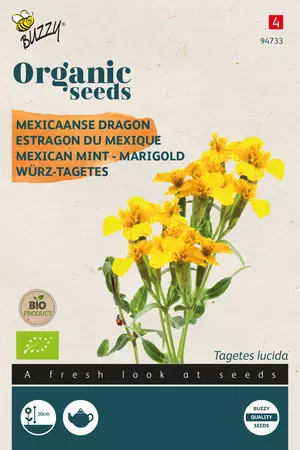 Biologische Tagetes Lucida, Mexicaanse dragon - afbeelding 1