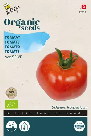 Biologische Tomaten Ace 55 VF - afbeelding 1