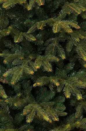 Frasier kerstboom groen 1298 - h155xd109cm