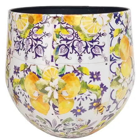 Bol Pot Lemon 27cm