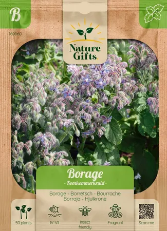 Borage komkommerkruid 50st - afbeelding 1
